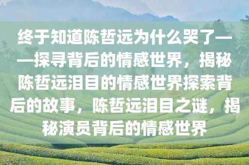 终于知道陈哲远为什么哭了——探寻背后的情感世界，揭秘陈哲远泪目的情感世界探索背后的故事，陈哲远泪目之谜，揭秘演员背后的情感世界