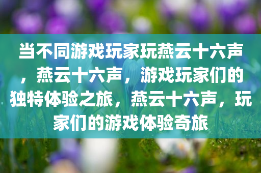 当不同游戏玩家玩燕云十六声，燕云十六声，游戏玩家们的独特体验之旅，燕云十六声，玩家们的游戏体验奇旅