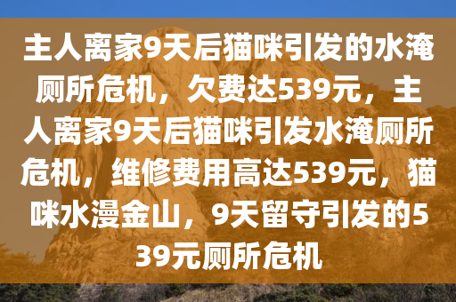 主人离家9天后猫咪引发的水淹厕所危机，欠费达539元，主人离家9天后猫咪引发水淹厕所危机，维修费用高达539元，猫咪水漫金山，9天留守引发的539元厕所危机