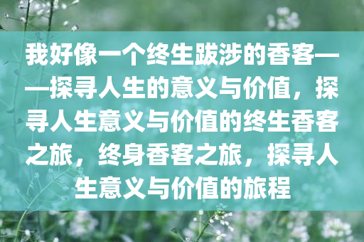 我好像一个终生跋涉的香客——探寻人生的意义与价值，探寻人生意义与价值的终生香客之旅，终身香客之旅，探寻人生意义与价值的旅程