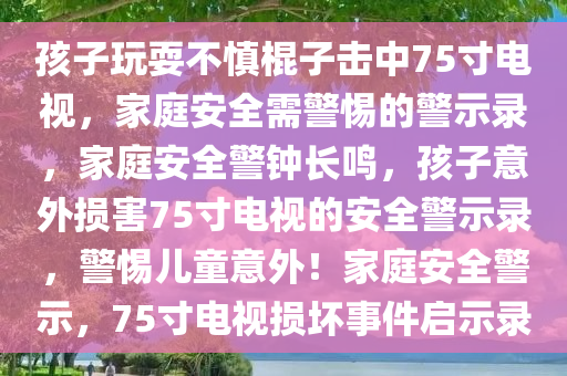 孩子玩耍不慎棍子击中75寸电视，家庭安全需警惕的警示录，家庭安全警钟长鸣，孩子意外损害75寸电视的安全警示录，警惕儿童意外！家庭安全警示，75寸电视损坏事件启示录