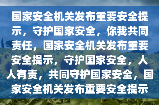 国家安全机关发布重要安全提示，守护国家安全，你我共同责任，国家安全机关发布重要安全提示，守护国家安全，人人有责，共同守护国家安全，国家安全机关发布重要安全提示