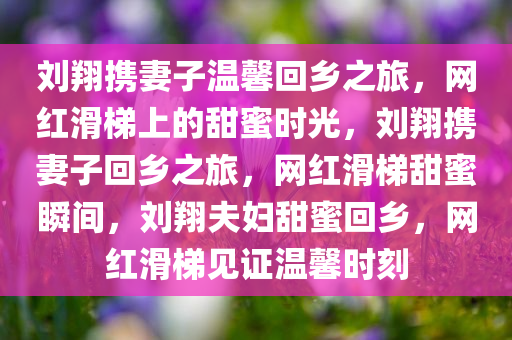 刘翔携妻子温馨回乡之旅，网红滑梯上的甜蜜时光，刘翔携妻子回乡之旅，网红滑梯甜蜜瞬间，刘翔夫妇甜蜜回乡，网红滑梯见证温馨时刻