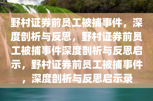 野村证券前员工被捕事件，深度剖析与反思，野村证券前员工被捕事件深度剖析与反思启示，野村证券前员工被捕事件，深度剖析与反思启示录