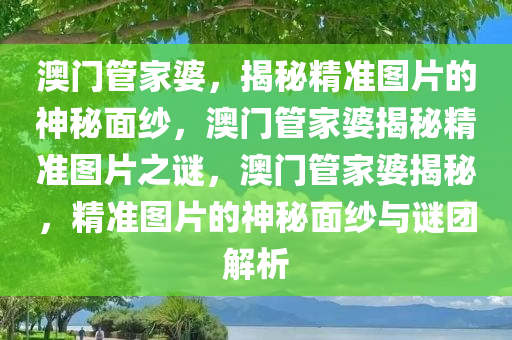 澳门管家婆，揭秘精准图片的神秘面纱，澳门管家婆揭秘精准图片之谜，澳门管家婆揭秘，精准图片的神秘面纱与谜团解析