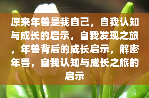 原来年兽是我自己，自我认知与成长的启示，自我发现之旅，年兽背后的成长启示，解密年兽，自我认知与成长之旅的启示