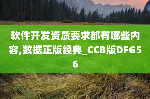 软件开发资质要求都有哪些内容,数据正版经典_CCB版DFG56