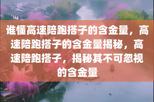 谁懂高速陪跑搭子的含金量，高速陪跑搭子的含金量揭秘，高速陪跑搭子，揭秘其不可忽视的含金量