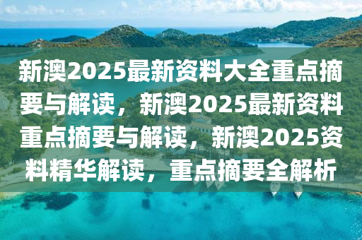 新澳2025最新资料大全重点摘要与解读，新澳2025最新资料重点摘要与解读，新澳2025资料精华解读，重点摘要全解析