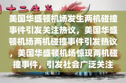 美国华盛顿机场发生两机碰撞事件引发关注热议，美国华盛顿机场两机碰撞事件引发热议，美国华盛顿机场惊现两机碰撞事件，引发社会广泛关注