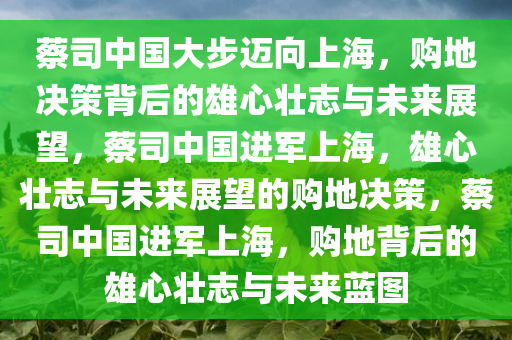 蔡司中国大步迈向上海，购地决策背后的雄心壮志与未来展望，蔡司中国进军上海，雄心壮志与未来展望的购地决策，蔡司中国进军上海，购地背后的雄心壮志与未来蓝图