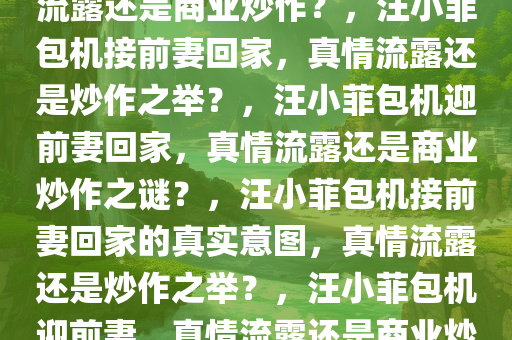 汪小菲包机接前妻回家，真情流露还是商业炒作？，汪小菲包机接前妻回家，真情流露还是炒作之举？，汪小菲包机迎前妻回家，真情流露还是商业炒作之谜？