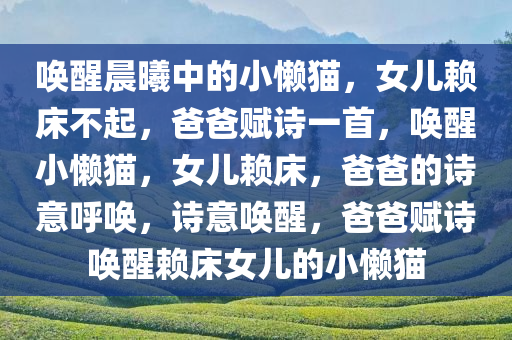 唤醒晨曦中的小懒猫，女儿赖床不起，爸爸赋诗一首，唤醒小懒猫，女儿赖床，爸爸的诗意呼唤，诗意唤醒，爸爸赋诗唤醒赖床女儿的小懒猫