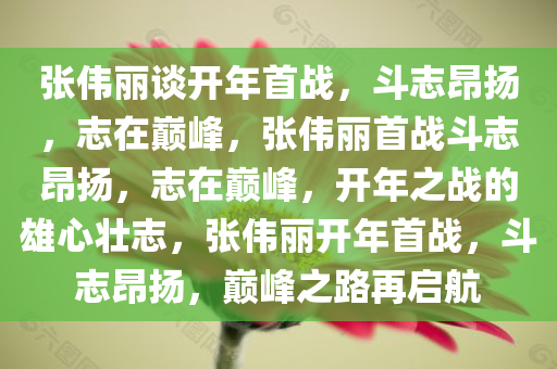 张伟丽谈开年首战，斗志昂扬，志在巅峰，张伟丽首战斗志昂扬，志在巅峰，开年之战的雄心壮志，张伟丽开年首战，斗志昂扬，巅峰之路再启航