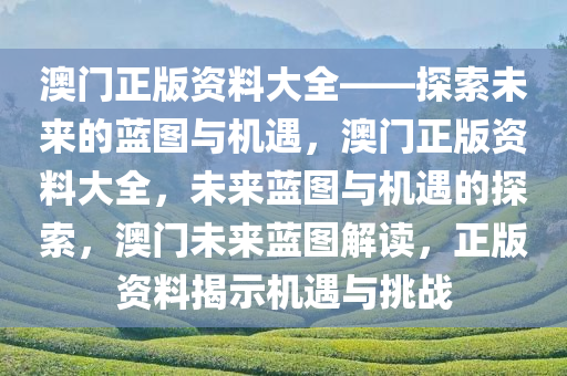 澳门正版资料大全——探索未来的蓝图与机遇，澳门正版资料大全，未来蓝图与机遇的探索，澳门未来蓝图解读，正版资料揭示机遇与挑战