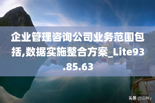 企业管理咨询公司业务范围包括,数据实施整合方案_Lite93.85.63