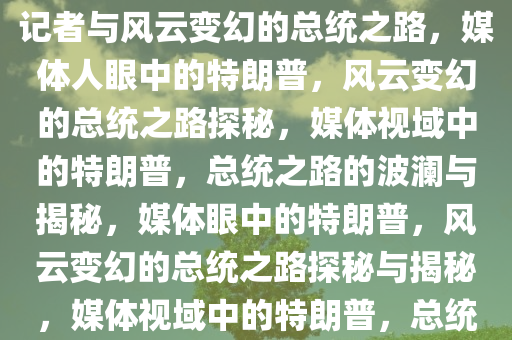 媒体人视角下的特朗普，美国记者与风云变幻的总统之路，媒体人眼中的特朗普，风云变幻的总统之路探秘，媒体视域中的特朗普，总统之路的波澜与揭秘，媒体眼中的特朗普，风云变幻的总统之路探秘与揭秘，媒体视域中的特朗普，总统之路的波澜与揭秘