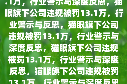 猫眼旗下公司因违规被罚没13.1万，行业警示与深度反思，猫眼旗下公司违规被罚13.1万，行业警示与反思，猫眼旗下公司违规被罚13.1万，行业警示与深度反思，猫眼旗下公司违规被罚13.1万，行业警示与深度反思，猫眼旗下公司违规被罚13.1万，行业警示与深度反思引发关注