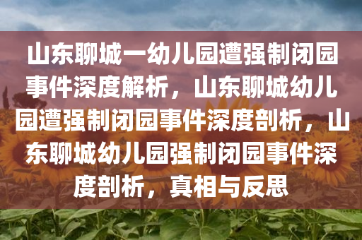 山东聊城一幼儿园遭强制闭园事件深度解析，山东聊城幼儿园遭强制闭园事件深度剖析，山东聊城幼儿园强制闭园事件深度剖析，真相与反思