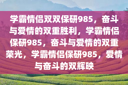 学霸情侣双双保研985，奋斗与爱情的双重胜利，学霸情侣保研985，奋斗与爱情的双重荣光，学霸情侣保研985，爱情与奋斗的双辉映