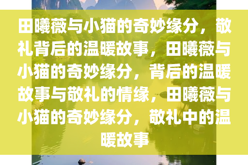 田曦薇与小猫的奇妙缘分，敬礼背后的温暖故事，田曦薇与小猫的奇妙缘分，背后的温暖故事与敬礼的情缘，田曦薇与小猫的奇妙缘分，敬礼中的温暖故事