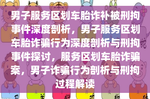 男子服务区划车胎诈补被刑拘事件深度剖析，男子服务区划车胎诈骗行为深度剖析与刑拘事件探讨，服务区划车胎诈骗案，男子诈骗行为剖析与刑拘过程解读