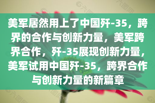 美军居然用上了中国歼-35，跨界的合作与创新力量，美军跨界合作，歼-35展现创新力量，美军试用中国歼-35，跨界合作与创新力量的新篇章