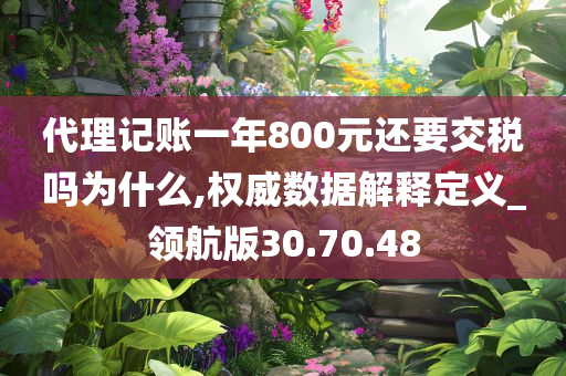 代理记账一年800元还要交税吗为什么,权威数据解释定义_领航版30.70.48