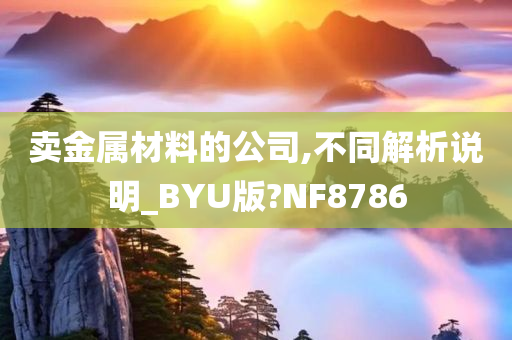 卖金属材料的公司,不同解析说明_BYU版?NF8786