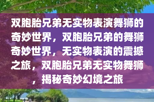 双胞胎兄弟无实物表演舞狮的奇妙世界，双胞胎兄弟的舞狮奇妙世界，无实物表演的震撼之旅，双胞胎兄弟无实物舞狮，揭秘奇妙幻境之旅