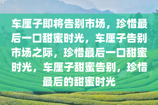 车厘子即将告别市场，珍惜最后一口甜蜜时光，车厘子告别市场之际，珍惜最后一口甜蜜时光，车厘子甜蜜告别，珍惜最后的甜蜜时光