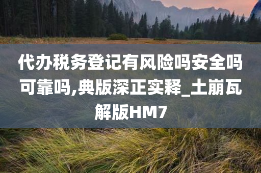 代办税务登记有风险吗安全吗可靠吗,典版深正实释_土崩瓦解版HM7