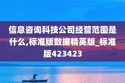 信息咨询科技公司经营范围是什么,标准版数据精英版_标准版423423