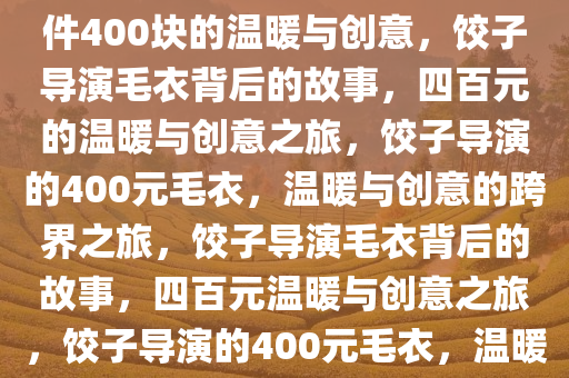 饺子导演的毛衣背后的故事，一件400块的温暖与创意，饺子导演毛衣背后的故事，四百元的温暖与创意之旅，饺子导演的400元毛衣，温暖与创意的跨界之旅