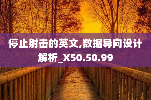 停止射击的英文,数据导向设计解析_X50.50.99