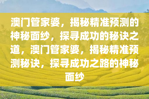 澳门管家婆，揭秘精准预测的神秘面纱，探寻成功的秘诀之道，澳门管家婆，揭秘精准预测秘诀，探寻成功之路的神秘面纱