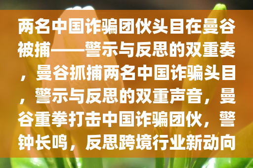 两名中国诈骗团伙头目在曼谷被捕——警示与反思的双重奏，曼谷抓捕两名中国诈骗头目，警示与反思的双重声音，曼谷重拳打击中国诈骗团伙，警钟长鸣，反思跨境行业新动向