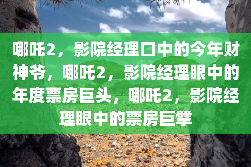 哪吒2，影院经理口中的今年财神爷，哪吒2，影院经理眼中的年度票房巨头，哪吒2，影院经理眼中的票房巨擘