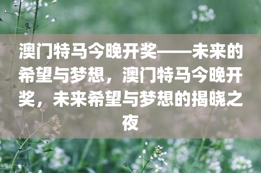 澳门特马今晚开奖——未来的希望与梦想，澳门特马今晚开奖，未来希望与梦想的揭晓之夜