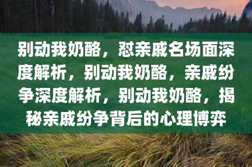 别动我奶酪，怼亲戚名场面深度解析，别动我奶酪，亲戚纷争深度解析，别动我奶酪，揭秘亲戚纷争背后的心理博弈