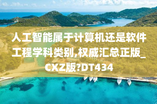 人工智能属于计算机还是软件工程学科类别,权威汇总正版_CXZ版?DT434