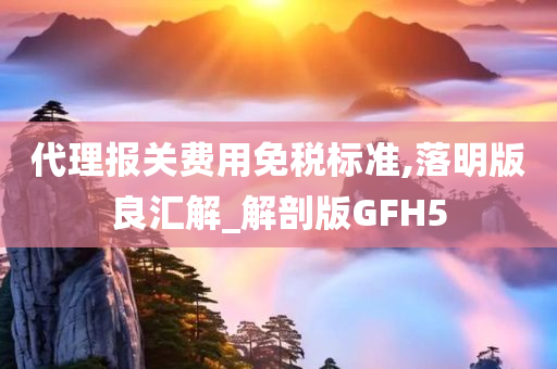 代理报关费用免税标准,落明版良汇解_解剖版GFH5