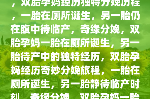 双胎孕妈经历独特分娩历程，一胎在厕所诞生，一胎仍在腹中，双胎孕妈经历独特分娩历程，一胎在厕所诞生，另一胎仍在腹中待临产，奇缘分娩，双胎孕妈一胎在厕所诞生，另一胎待产中的独特经历，双胎孕妈经历奇妙分娩旅程，一胎在厕所诞生，另一胎静待临产时刻，奇缘分娩，双胎孕妈一胎厕所诞生，另一胎待产中的独特经历