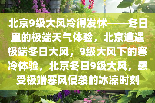 北京9级大风冷得发怵——冬日里的极端天气体验，北京遭遇极端冬日大风，9级大风下的寒冷体验，北京冬日9级大风，感受极端寒风侵袭的冰凉时刻