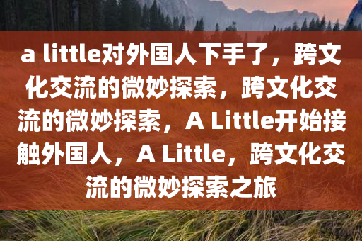 a little对外国人下手了，跨文化交流的微妙探索，跨文化交流的微妙探索，A Little开始接触外国人，A Little，跨文化交流的微妙探索之旅