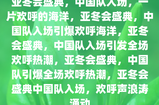 亚冬会盛典，中国队入场，一片欢呼的海洋，亚冬会盛典，中国队入场引爆欢呼海洋，亚冬会盛典，中国队入场引发全场欢呼热潮