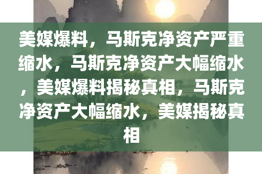 美媒爆料，马斯克净资产严重缩水，马斯克净资产大幅缩水，美媒爆料揭秘真相，马斯克净资产大幅缩水，美媒揭秘真相