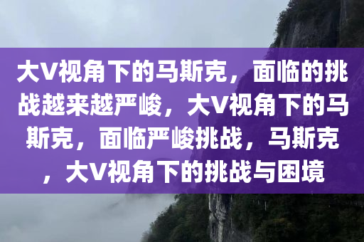 大V视角下的马斯克，面临的挑战越来越严峻，大V视角下的马斯克，面临严峻挑战，马斯克，大V视角下的挑战与困境