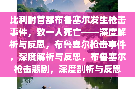 比利时首都布鲁塞尔发生枪击事件，致一人死亡——深度解析与反思，布鲁塞尔枪击事件，深度解析与反思，布鲁塞尔枪击悲剧，深度剖析与反思