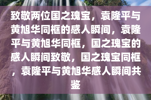 致敬两位国之瑰宝，袁隆平与黄旭华同框的感人瞬间，袁隆平与黄旭华同框，国之瑰宝的感人瞬间致敬，国之瑰宝同框，袁隆平与黄旭华感人瞬间共鉴